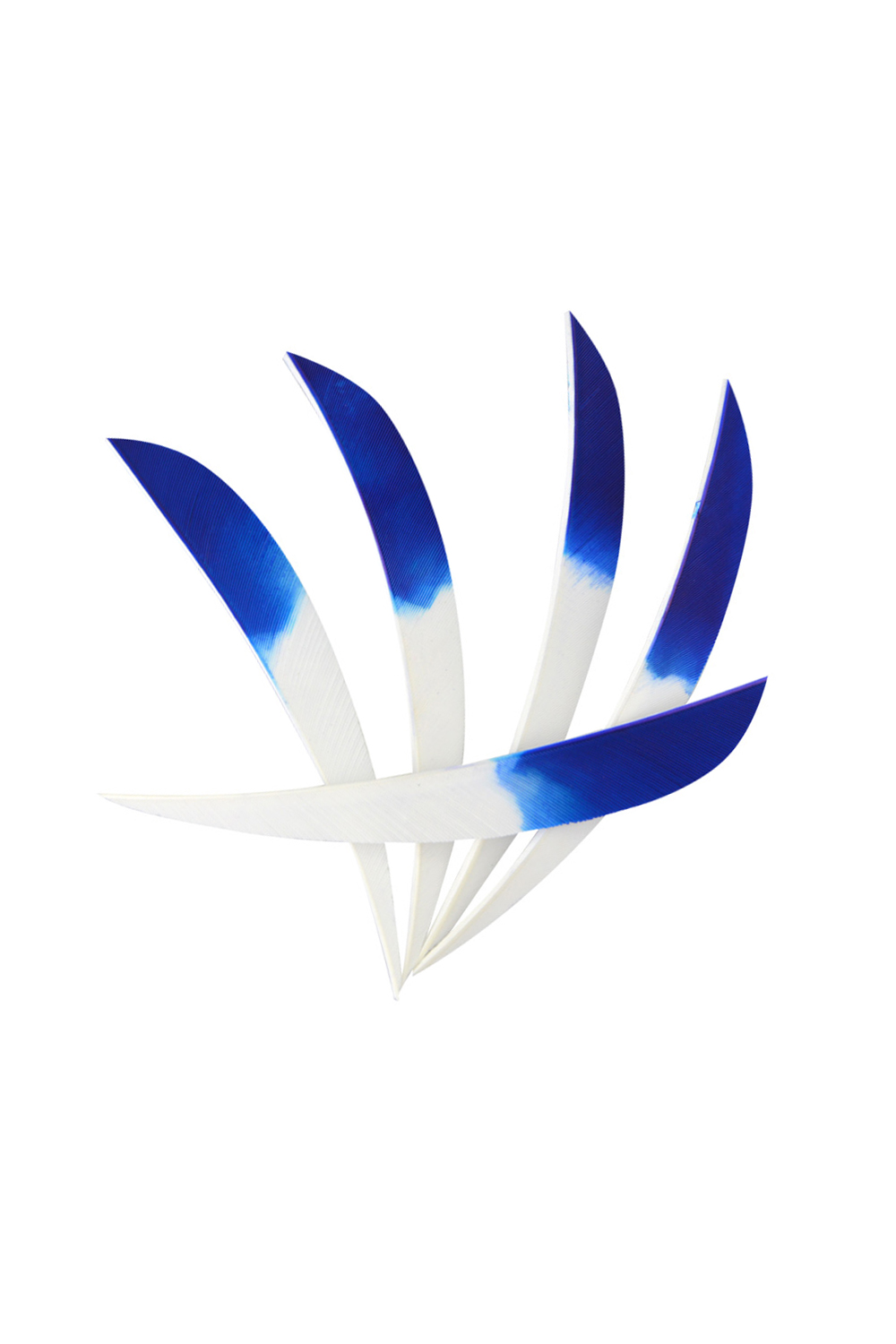 5" Dyed Real Feathers, Gradient Feathers For Archery-Lokearchery