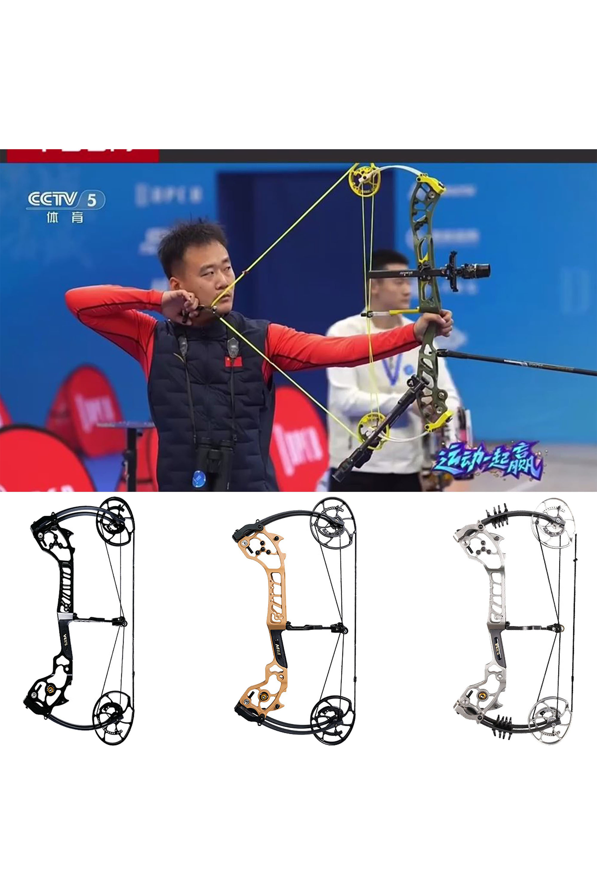 AGS Compound Bow 0-70Lbs Archery Hunting Shooting