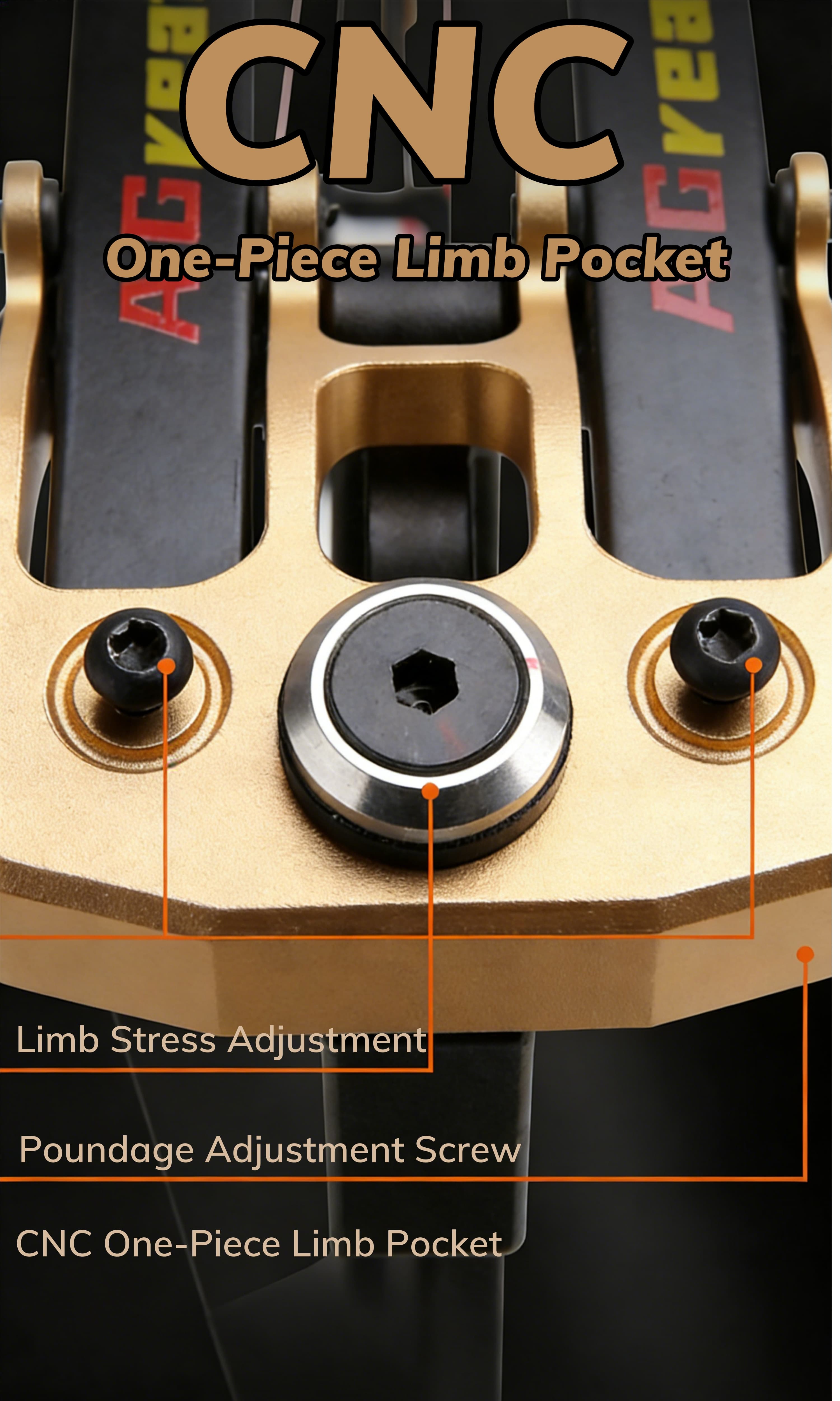 AGS Compound Bow 40-70lbs Target Kit 350FPS Shooting Archery