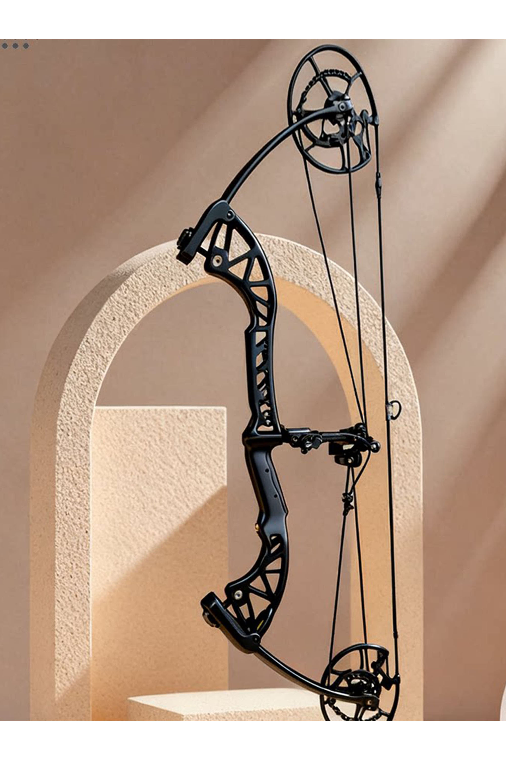 Archery Compound Bow 30-65Lbs Hunting bow Target 340fps