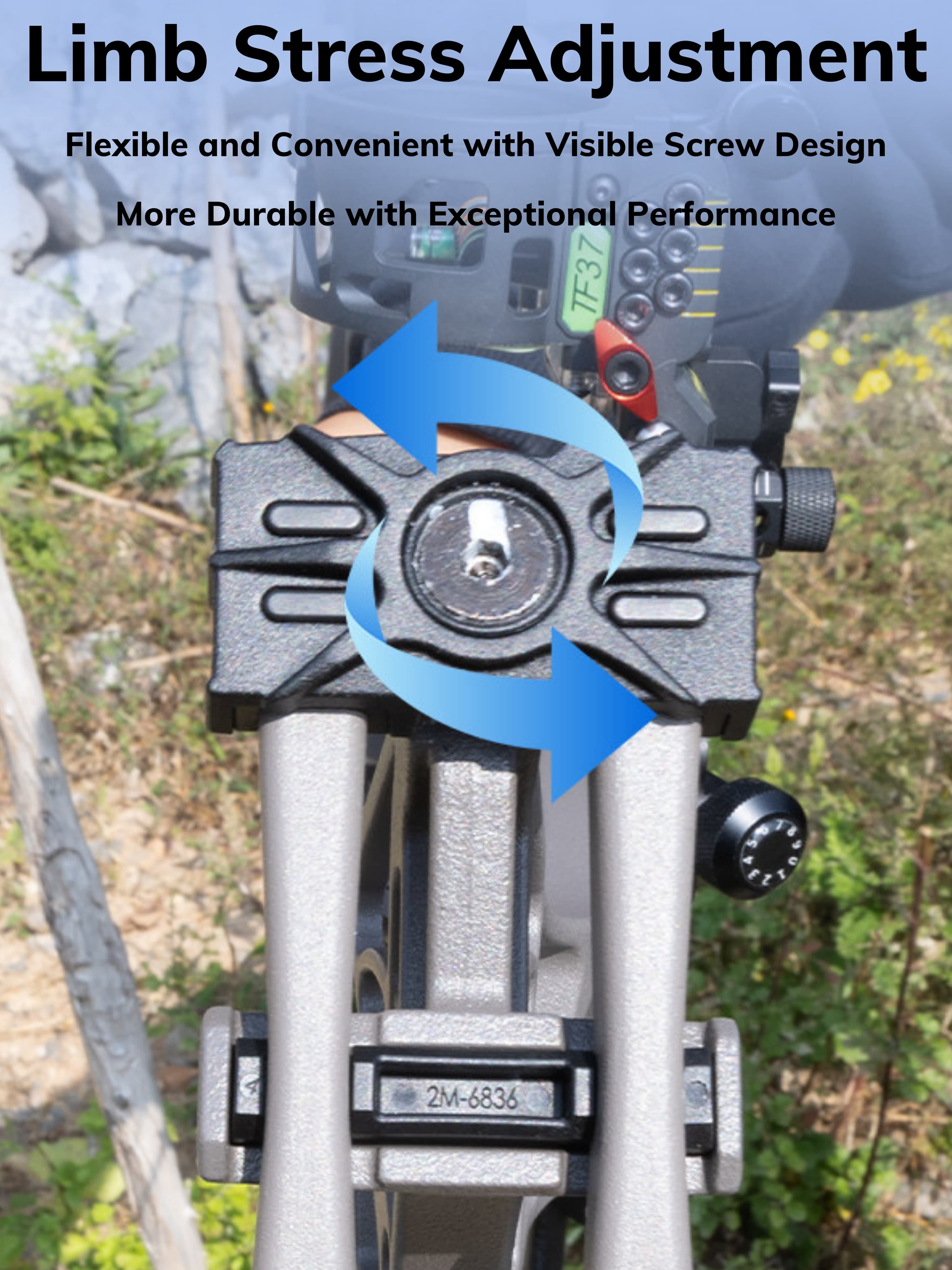 BEAR 45-70lbs Compound Bow Archery Hunting Target 339FPS Archery