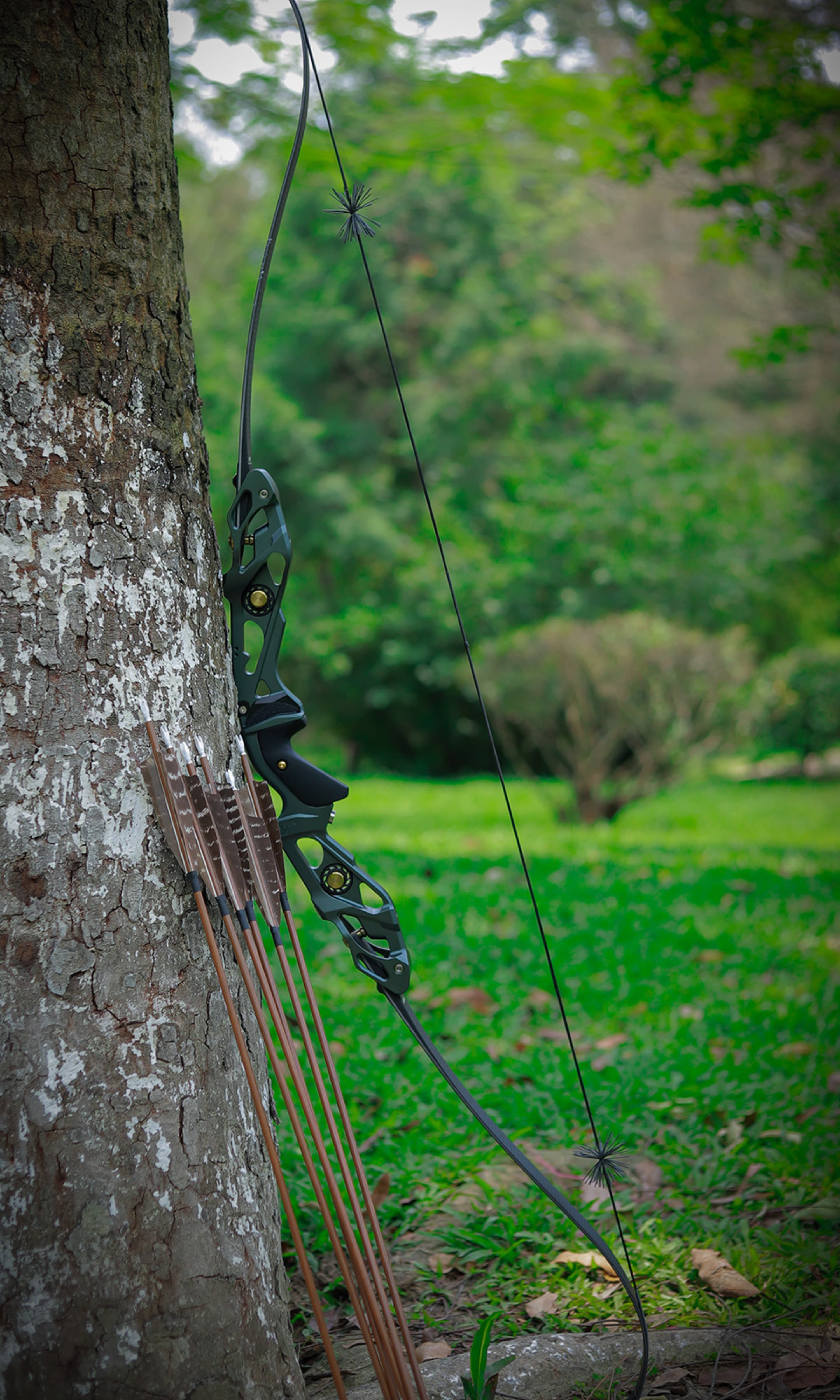 BOSEN Archery 18-50lbs Takedown Recurve Bow Kit  Shooting Target