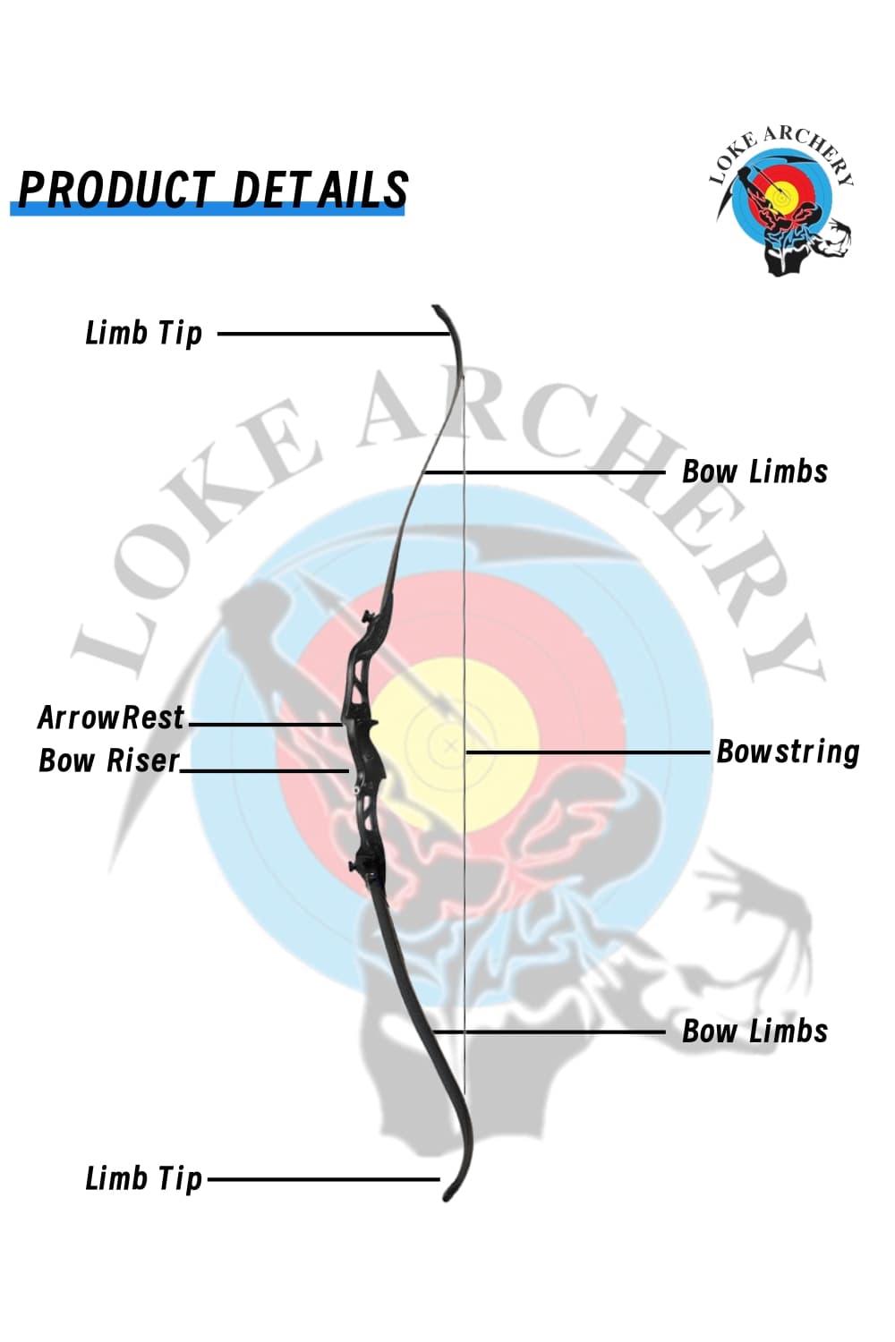 Junxing F155 16-4-Lbs Target Recurve Bow LH&RH