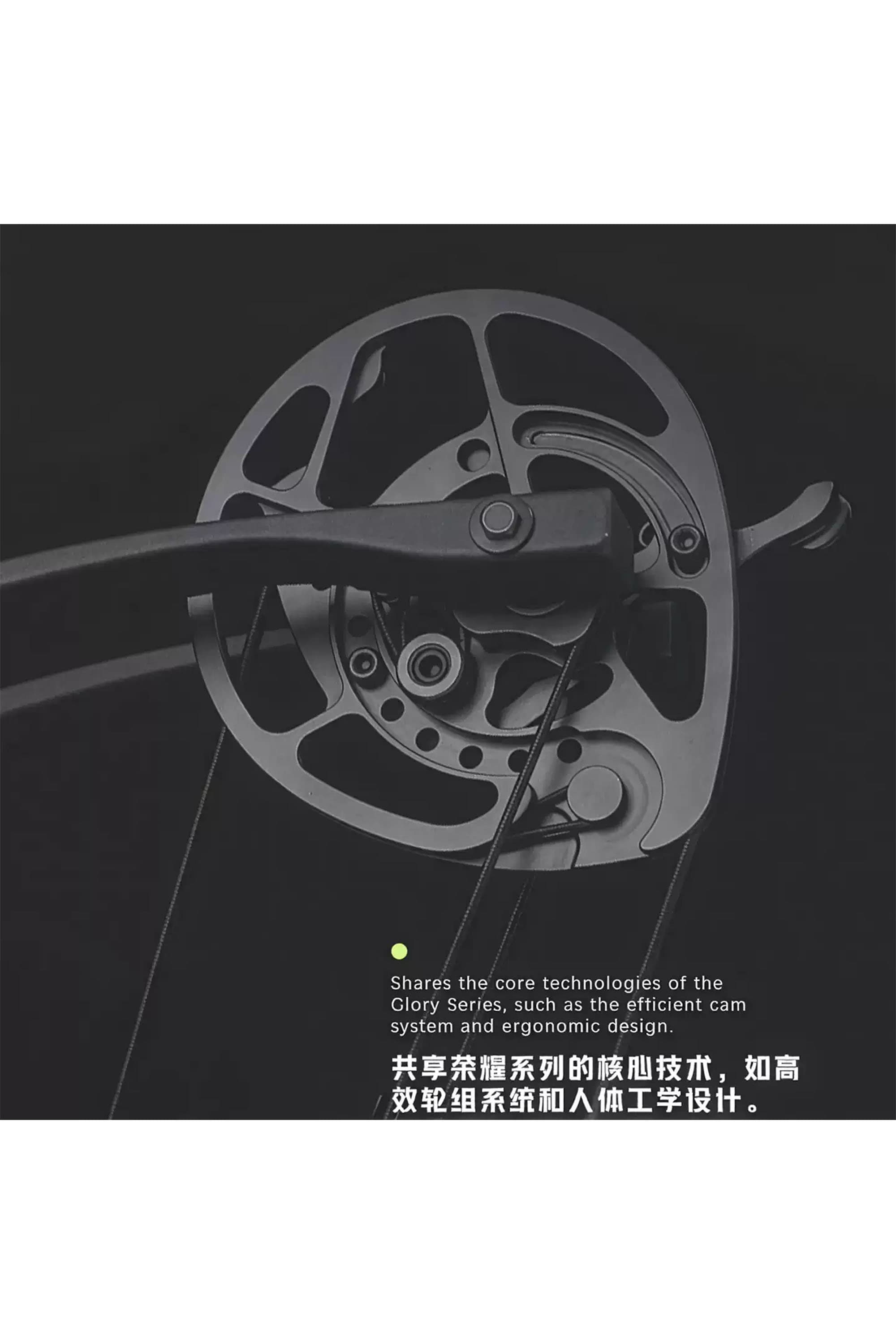 LWANO QINGYAO 15-30Lbs Archery Compound Bow Youth bow For Shooting