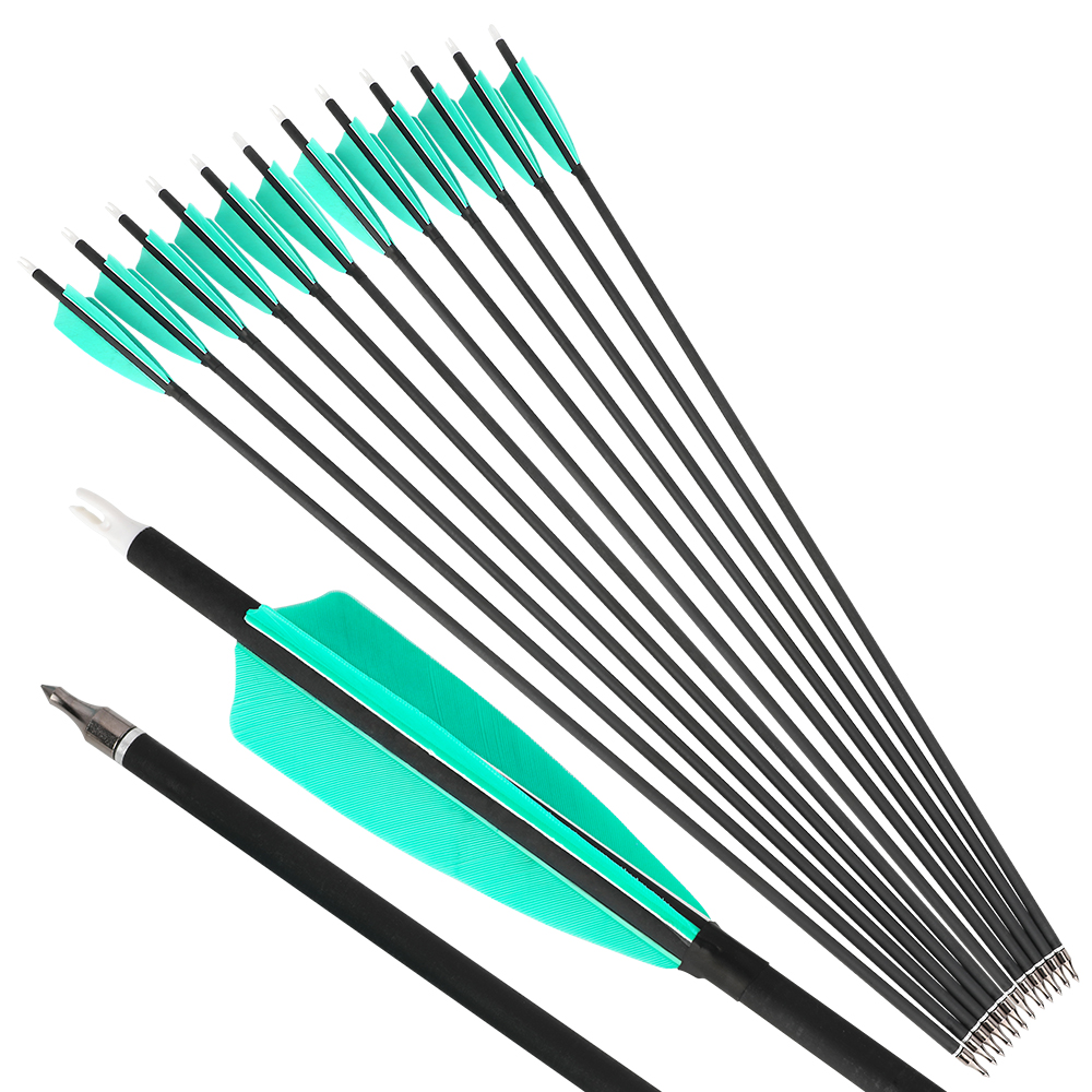 28" Spine 500 Mixed Carbon Arrows with Water Blue Feathers and Black Dragon Tips 12pcs