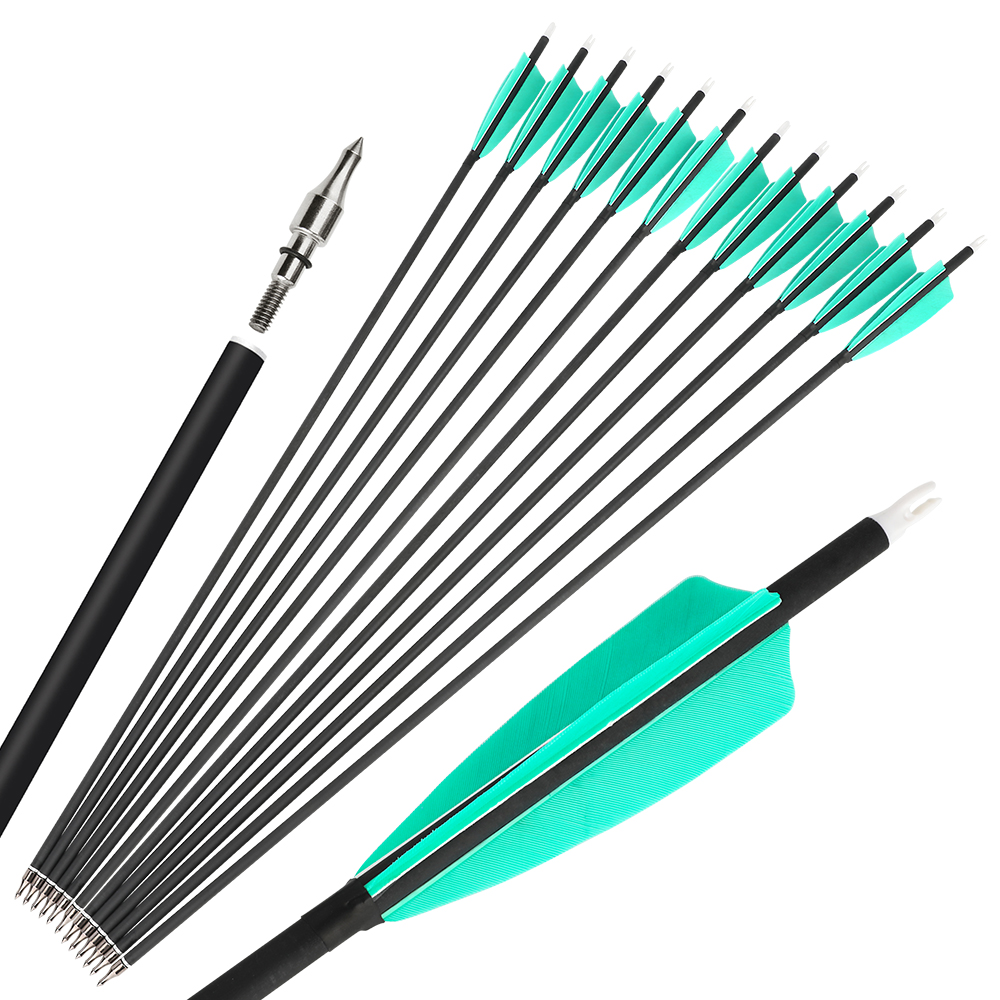 28" Spine 500 Mixed Carbon Arrows with Water Blue Feathers and Black Dragon Tips 12pcs