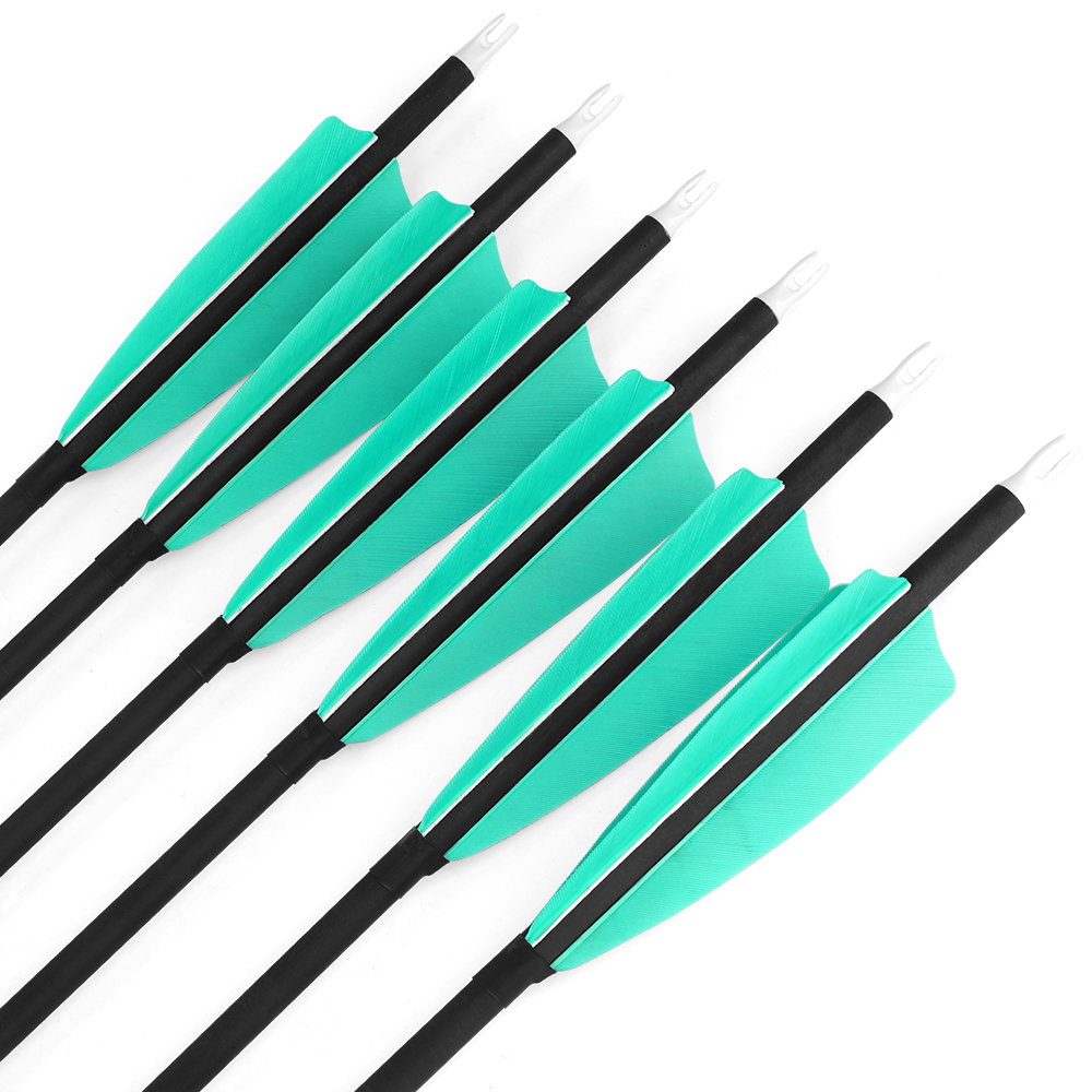 28" Spine 500 Mixed Carbon Arrows with Water Blue Feathers and Black Dragon Tips 12pcs