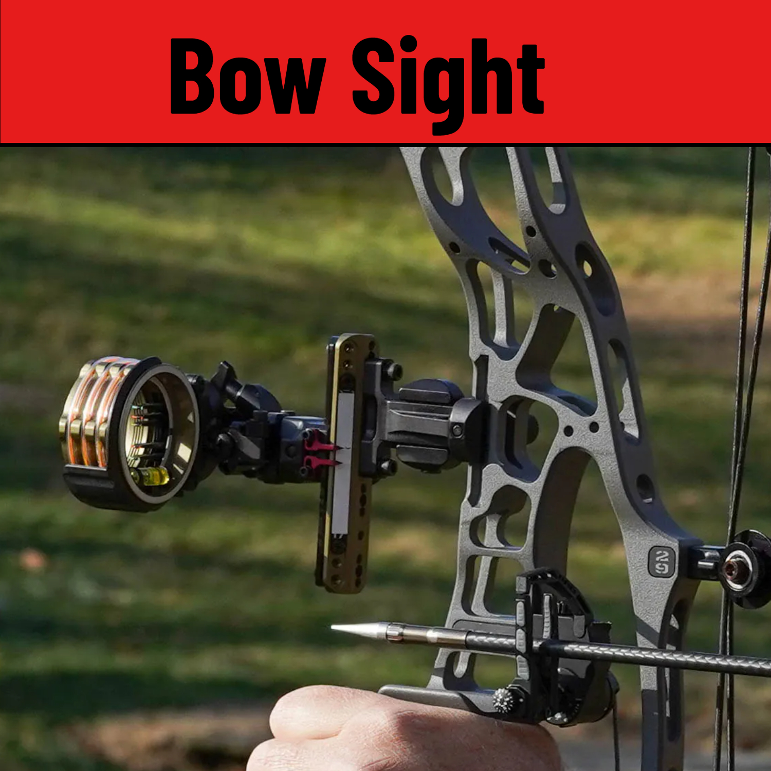 Bow Sight