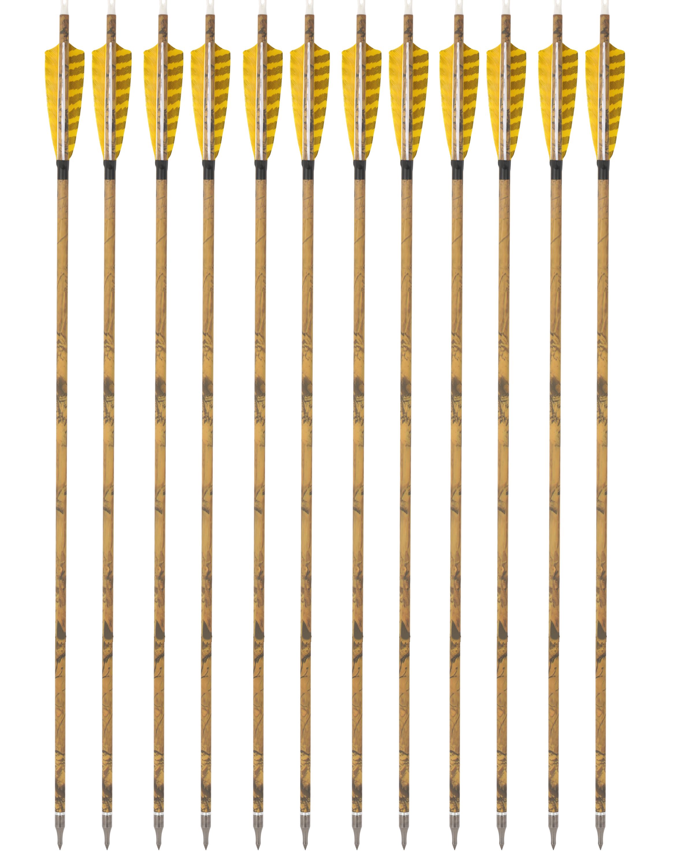 Carbon Archery Arrows