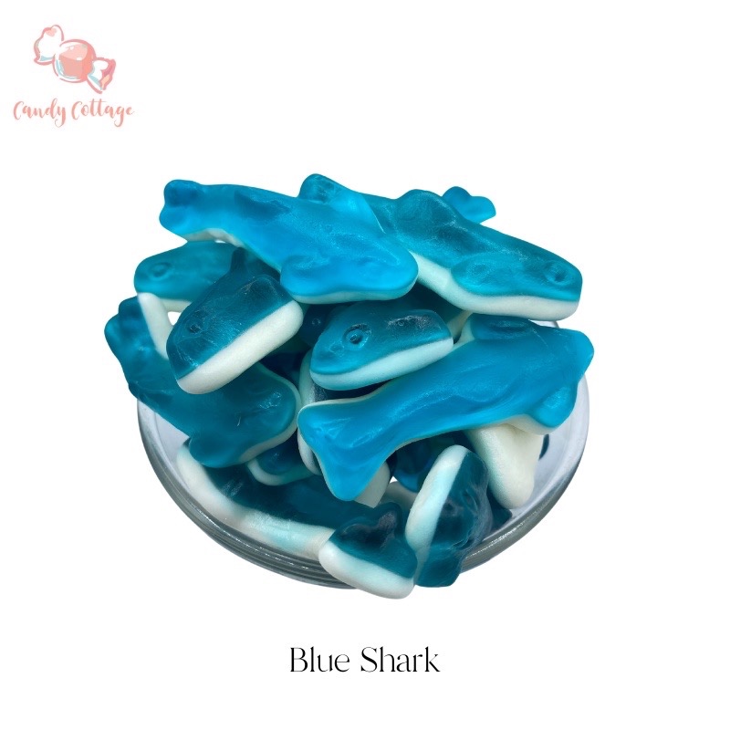 Blue Shark