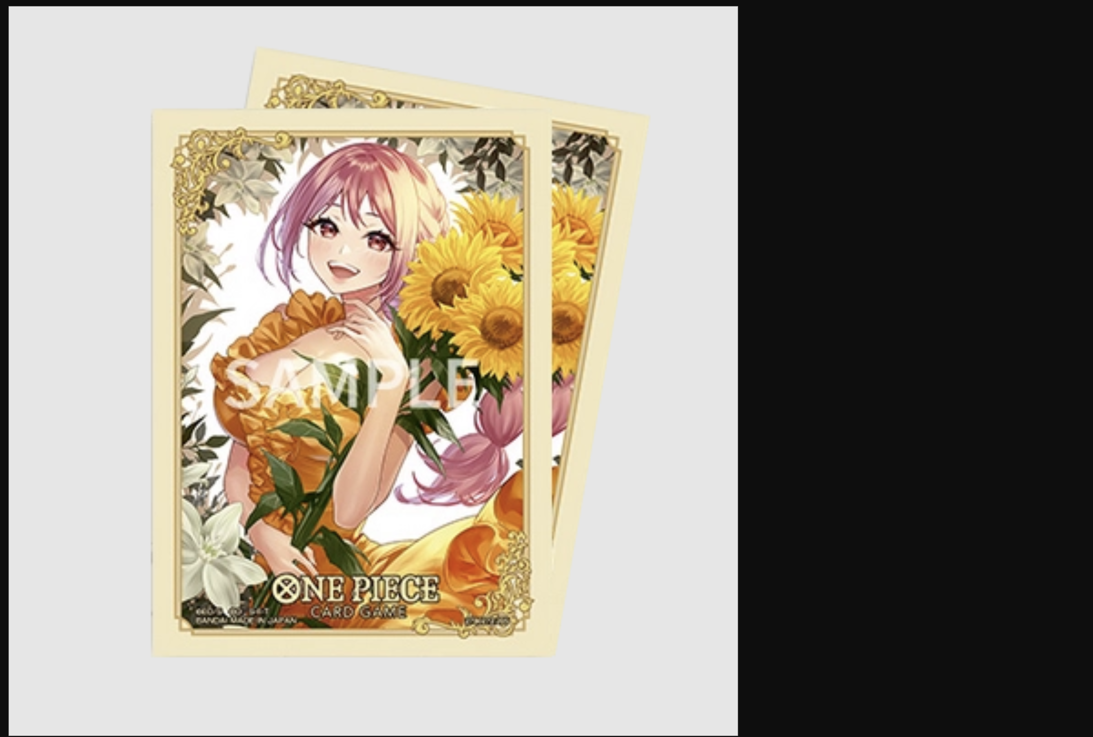 寶可夢卡牌冠軍賽