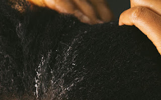 Renee's Shea Souffle