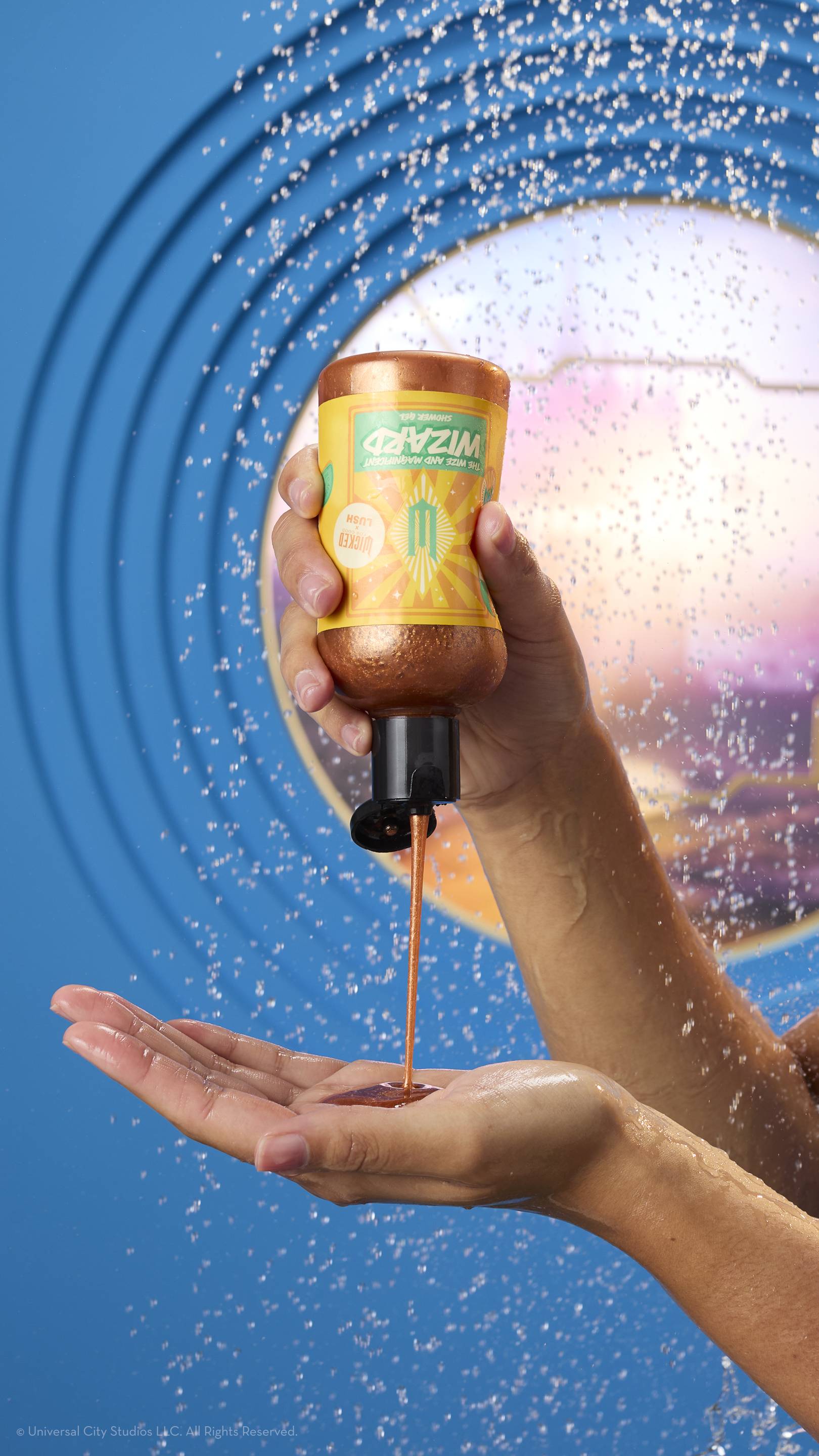 THE WIZE AND MAGNIFICENT WIZARD