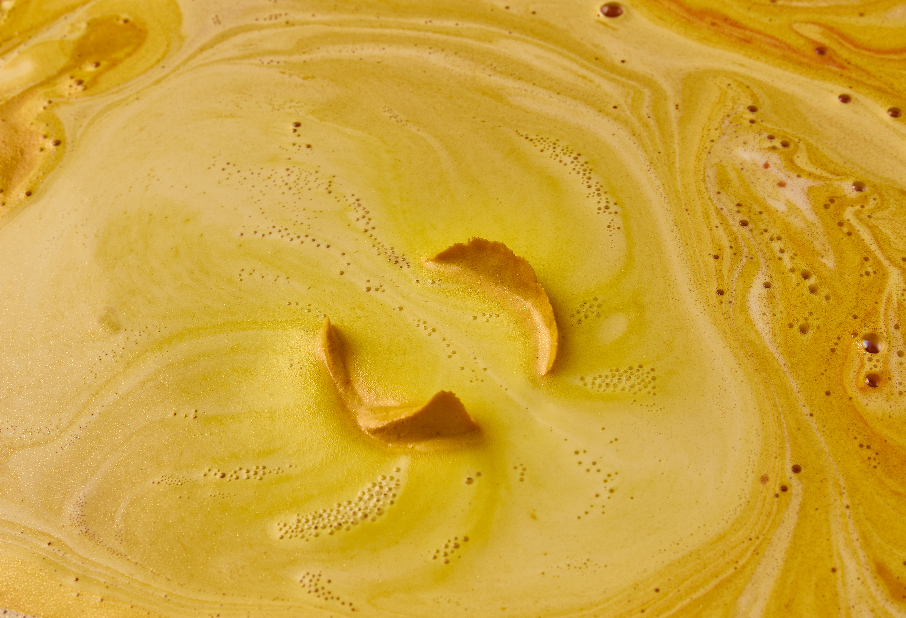 ENCHANTED FAIRY HOUSE