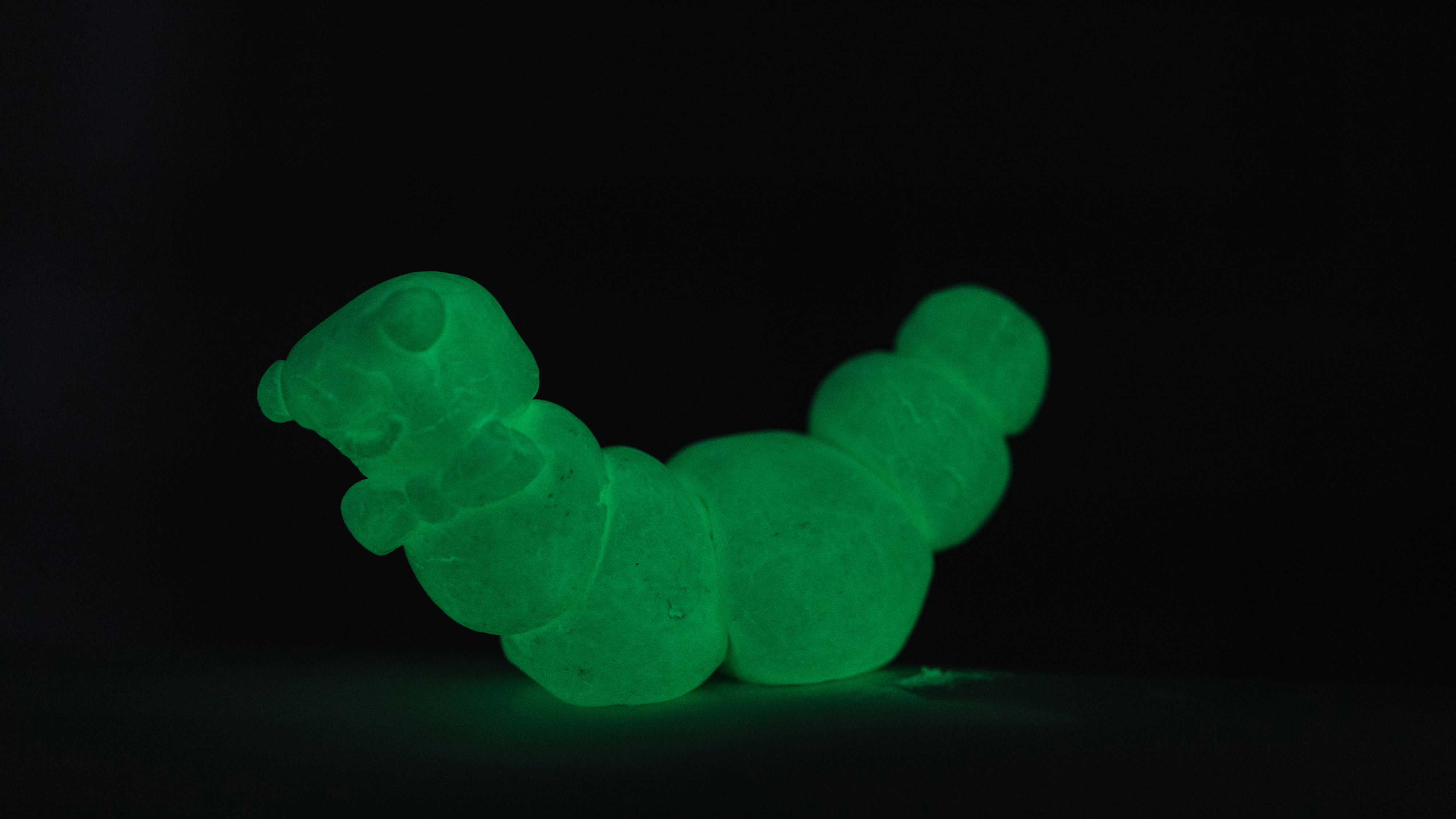 Glow Worm