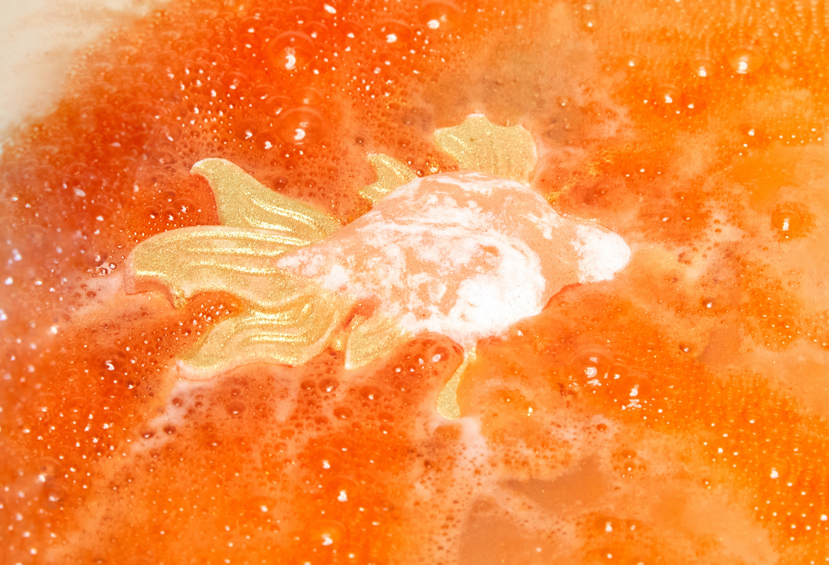 Goldfish