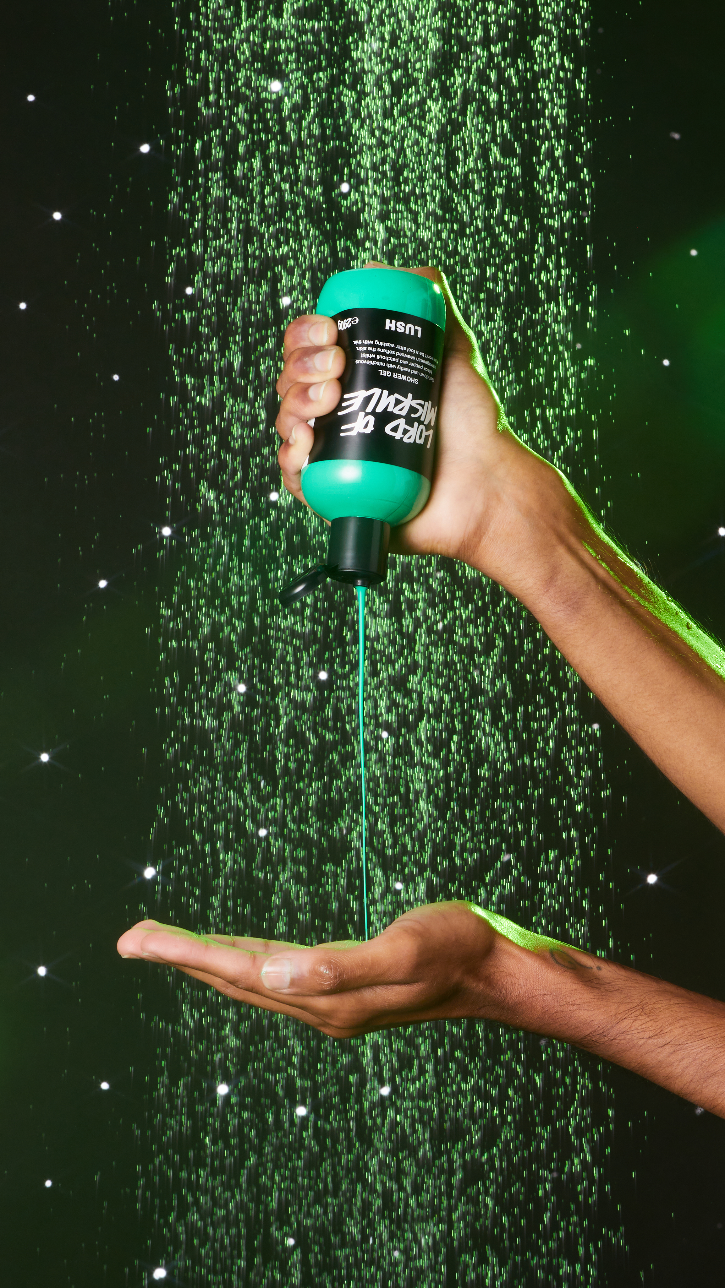 Lord of Misrule