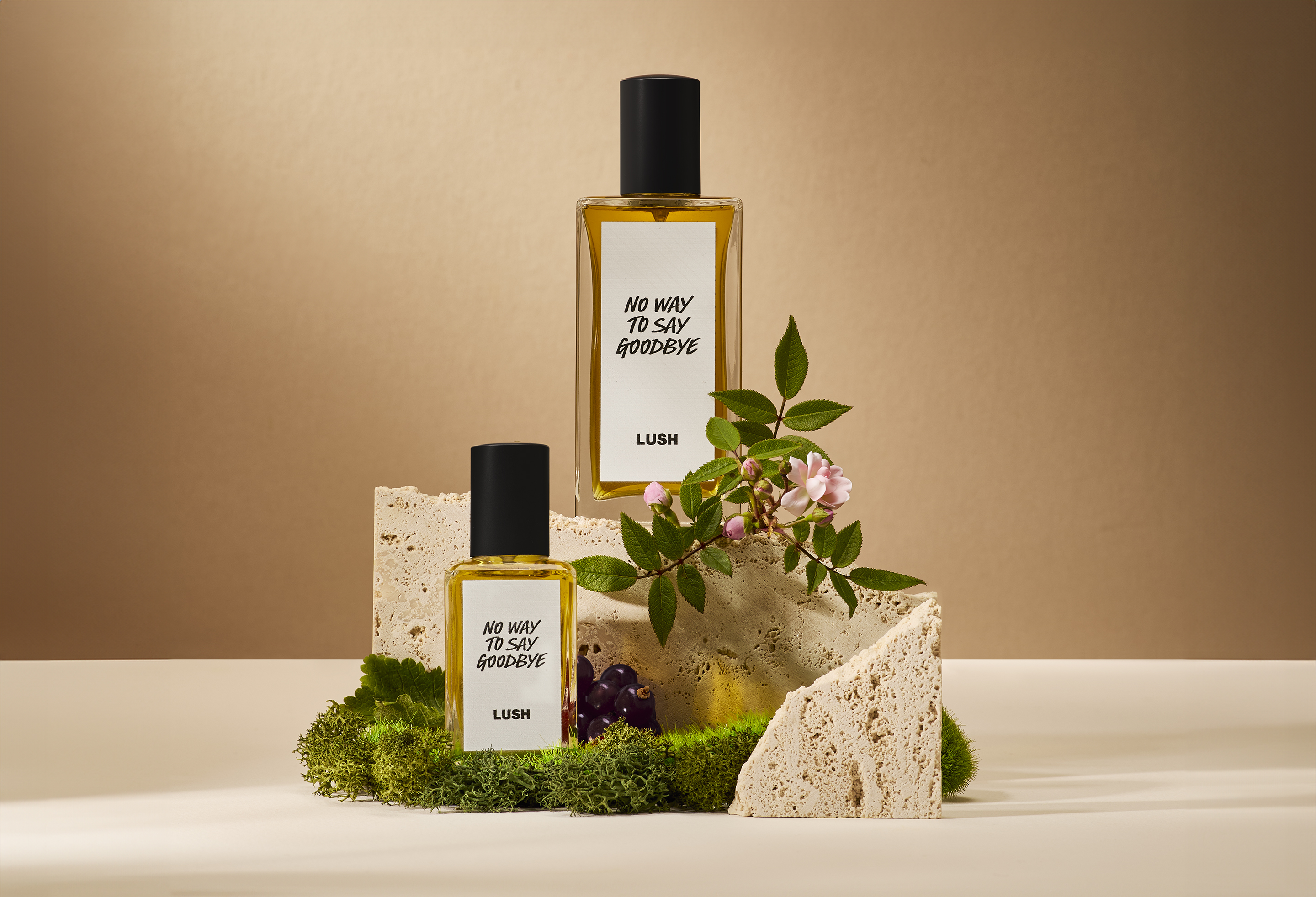 no way to say goodbye