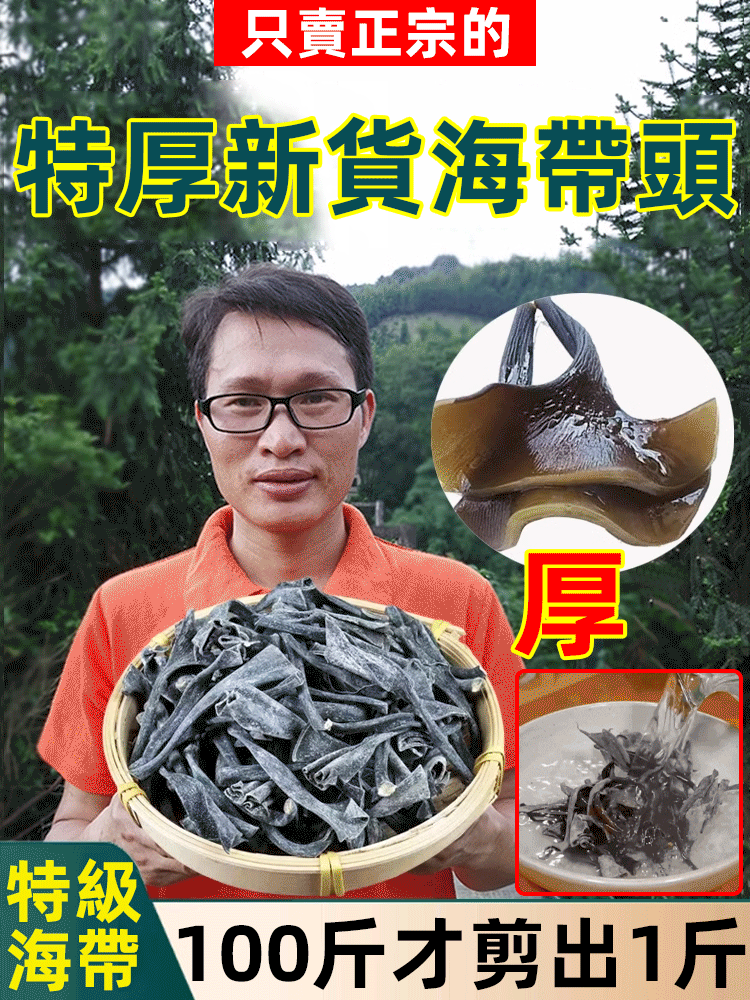特厚特級新貨海帶頭蒂