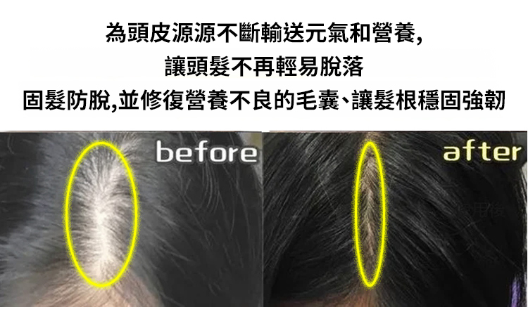 翻译件-SL-黑灵芝人参洗发水-1266651-系统_24.jpg