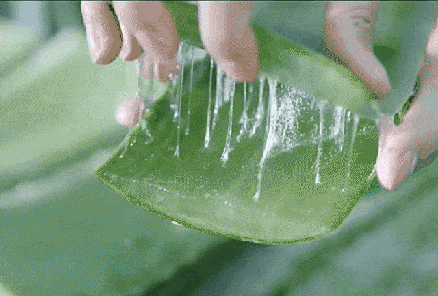 7340465ab07a56bd2de648b6970adffa.gif