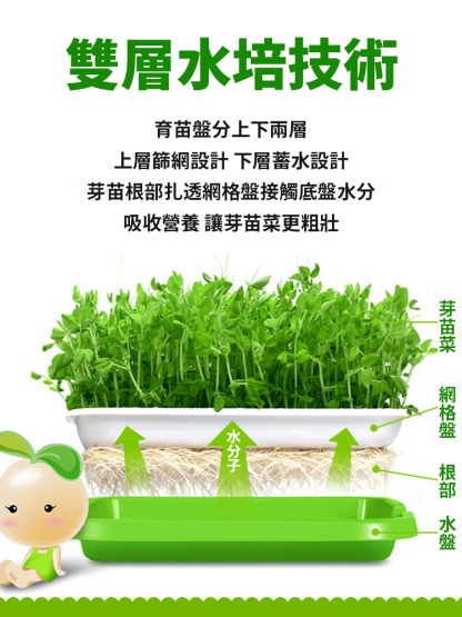 【種菜神器】水培育苗盤