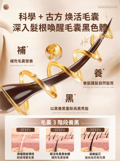 黑靈芝人參洗髮精