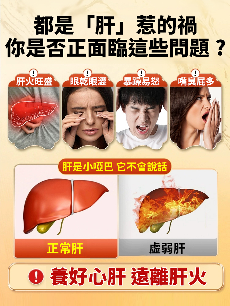 菊花枸杞決明子金銀花蒲公英