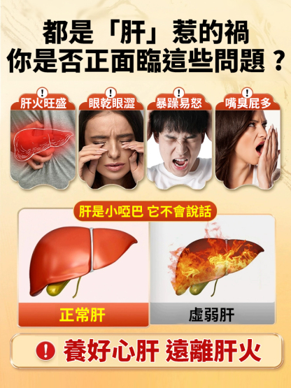 菊花枸杞決明子金銀花蒲公英