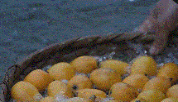 1633751019270811.gif