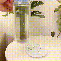 d4.gif