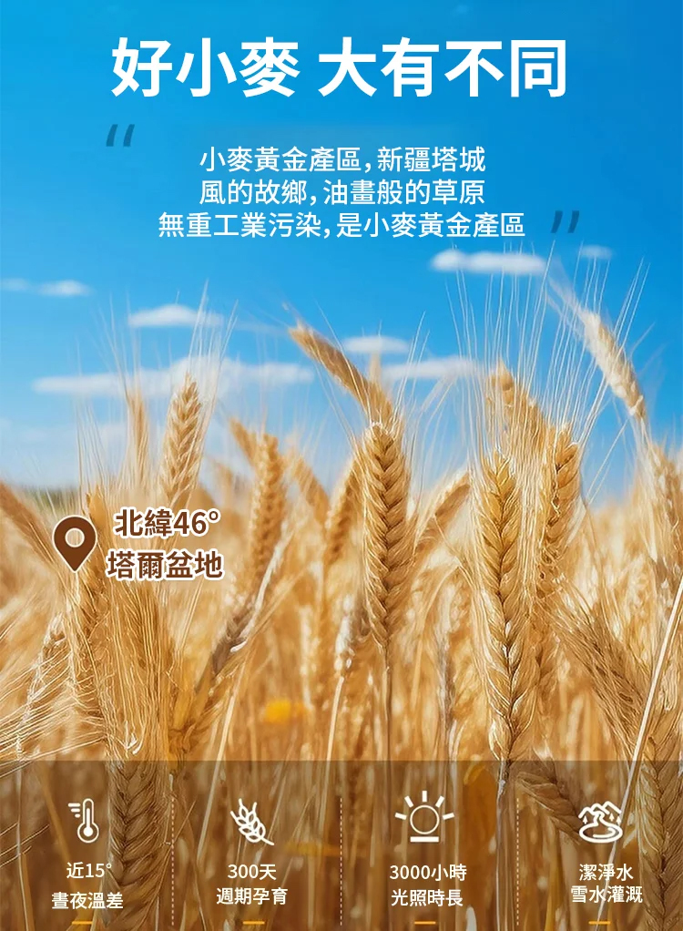 未标题-5.jpg