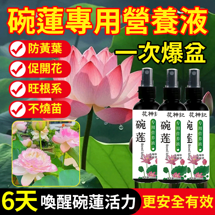 碗蓮專用營養液