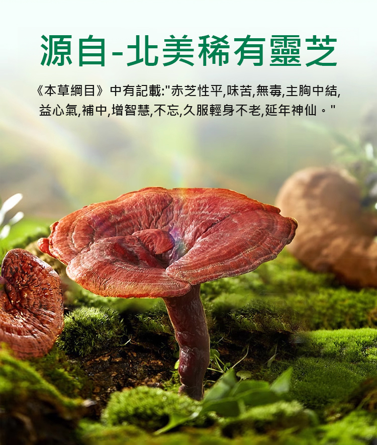 翻译件-HFH-【养肺润肺】肺清金宝丸-1254931-系统_10.jpg