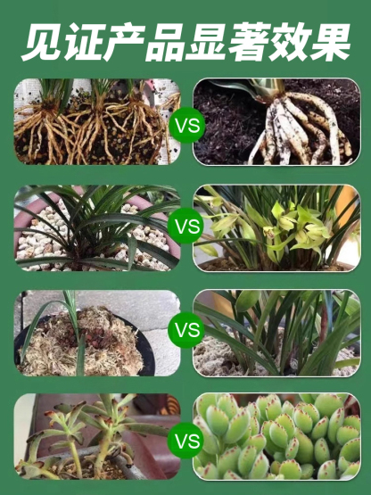 【萬物復活】通用型植物花復活液