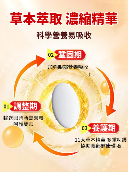 杞菊黃耆決明子片