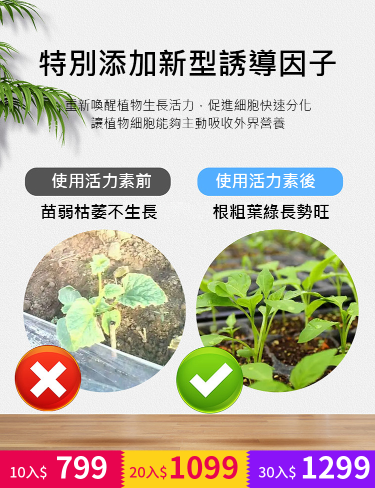 植物生長活力素【濃縮神仙水】
