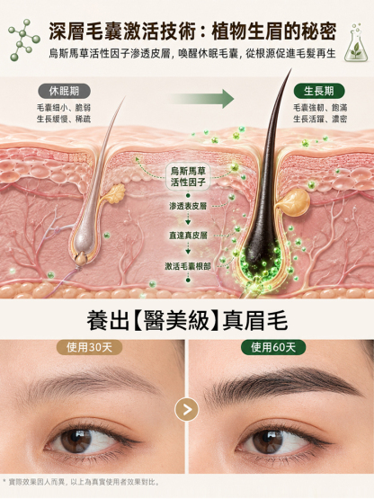 極細四叉速成眉筆