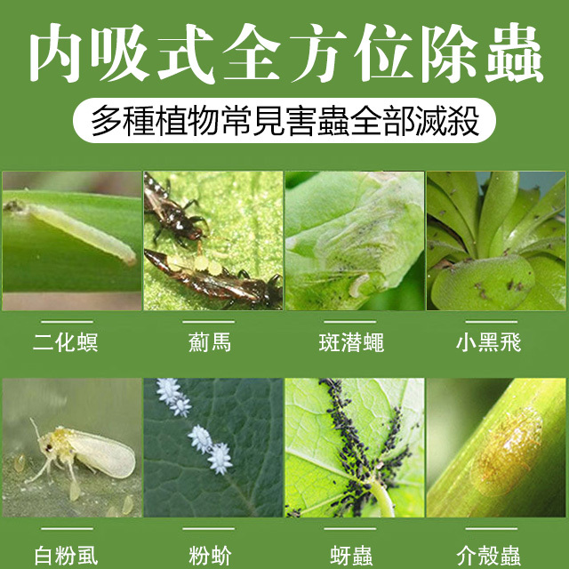 園藝防蟲片