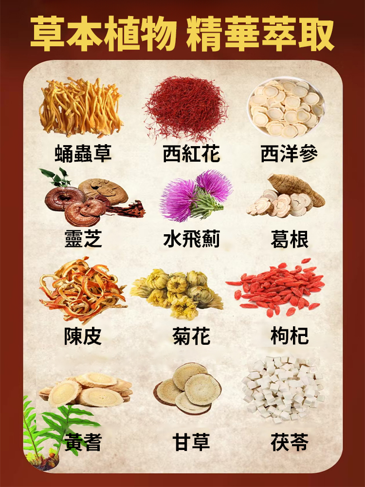 熊膽蛹蟲草紅花參靈鹿肝貼