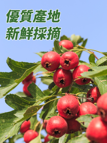 【百病一吃無】無蔗糖甘草山楂