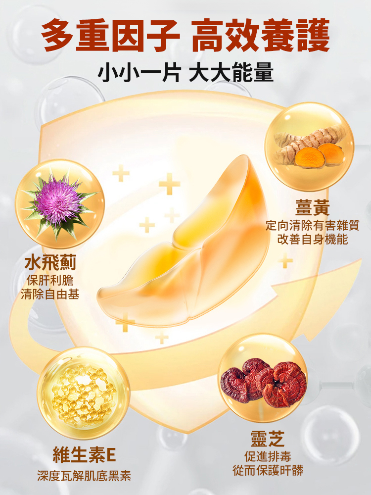 水飛薊靈芝薑黃素片