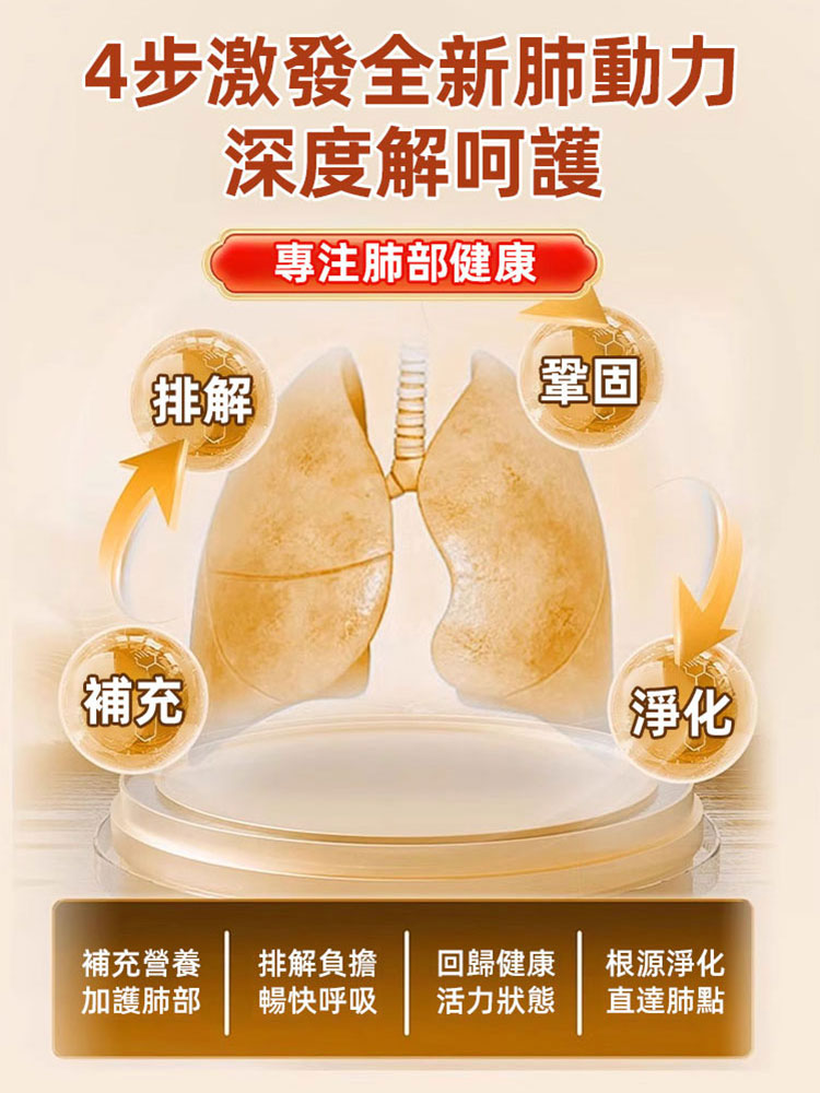 人參百合玉竹羅漢果片