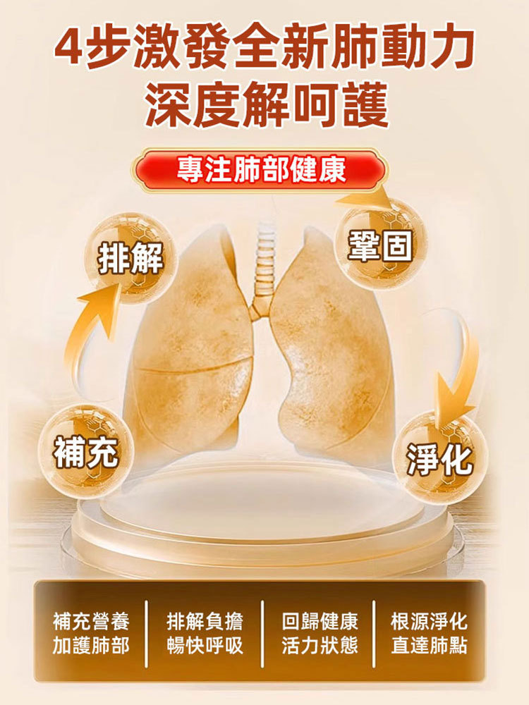 人參百合玉竹羅漢果片