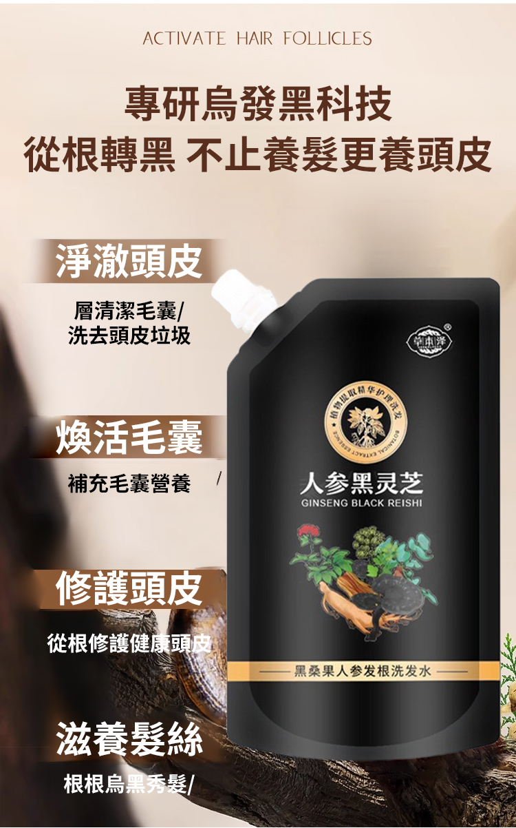 翻译件-SL-黑灵芝人参洗发水-1266651-系统_16.jpg
