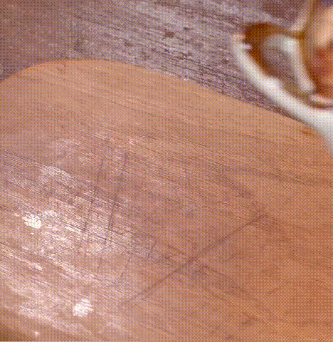 721ff82e27f3694d1f59c706d3039ed9.gif