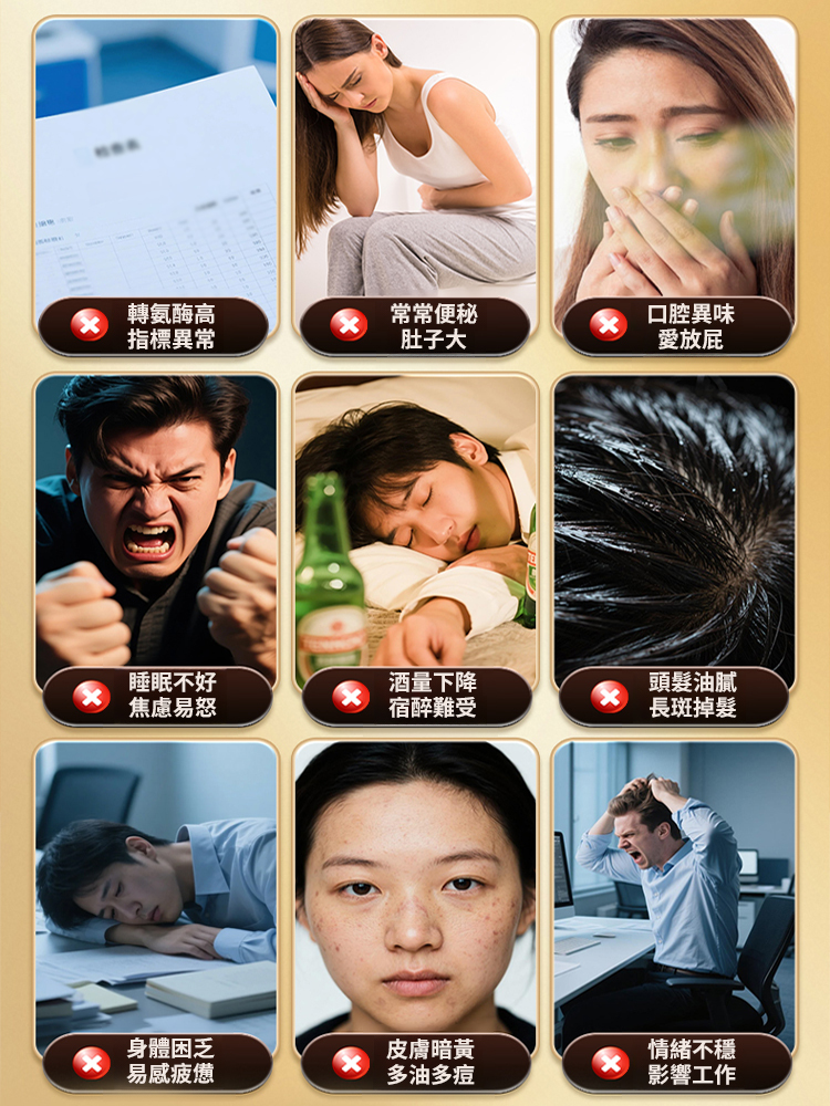 葛根靈芝鹿肝片