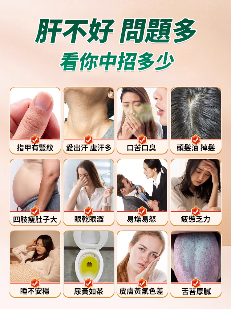 靈芝水飛薊人參葛根片