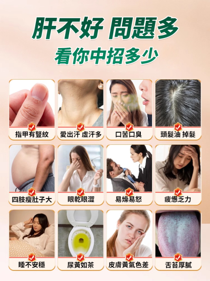 靈芝水飛薊人參葛根片