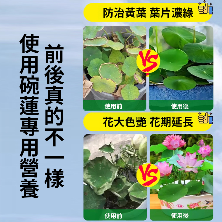 碗蓮專用營養液